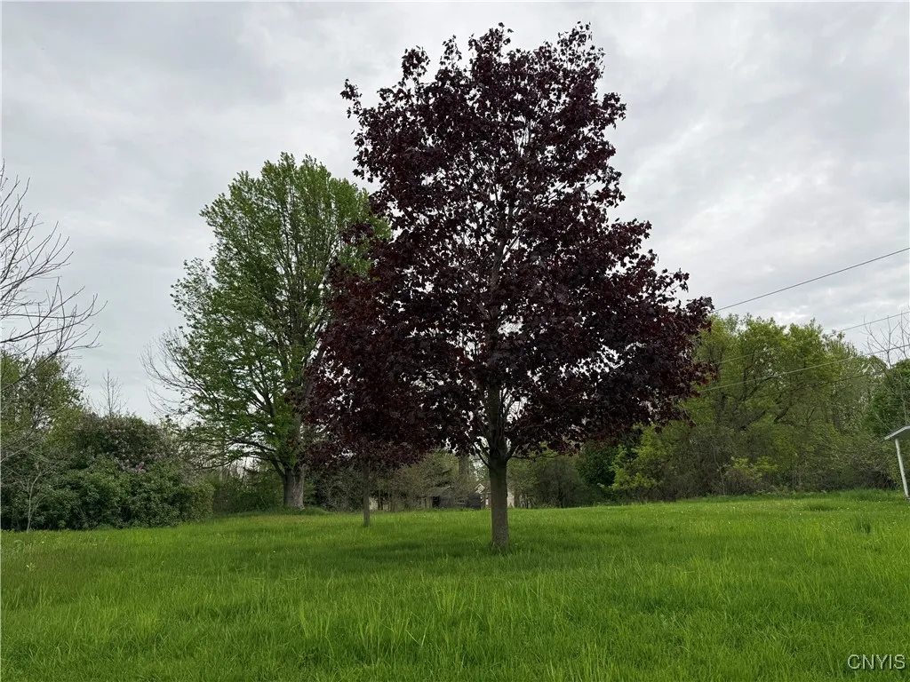 226 Wealtha, Watertown-city, New York 13601, Watertown City, New York 13601, ,Land,For Sale,226 Wealtha, Watertown-city, New York 13601,0,S1606802