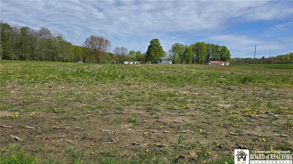 9659 Dye Road, Villenova, New York 14062, Villenova, New York 14062, ,Land,Closed,9659 Dye Road, Villenova, New York 14062,0,R1606587