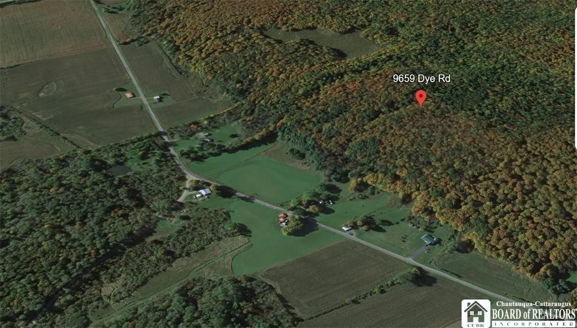 9659 Dye Road, Villenova, New York 14062, Villenova, New York 14062, ,Land,Closed,9659 Dye Road, Villenova, New York 14062,0,R1606587