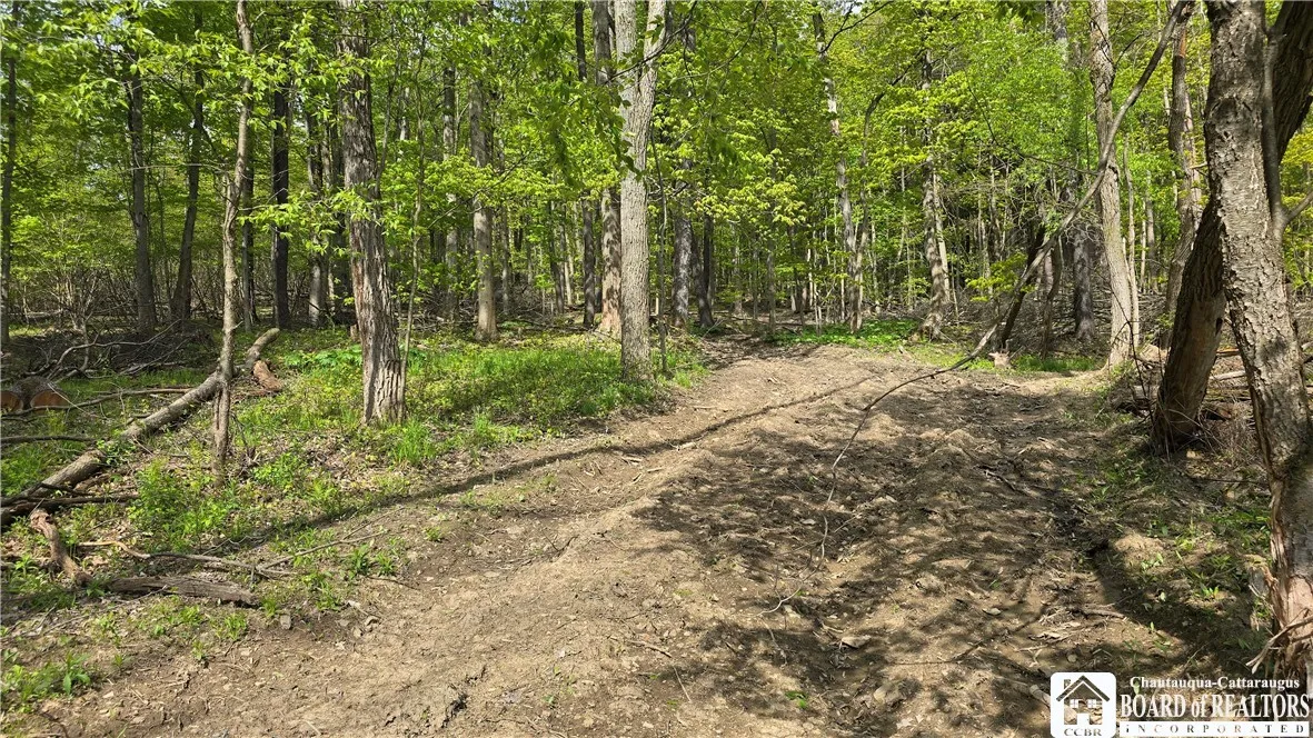 9659 Dye Road, Villenova, New York 14062, Villenova, New York 14062, ,Land,Closed,9659 Dye Road, Villenova, New York 14062,0,R1606587