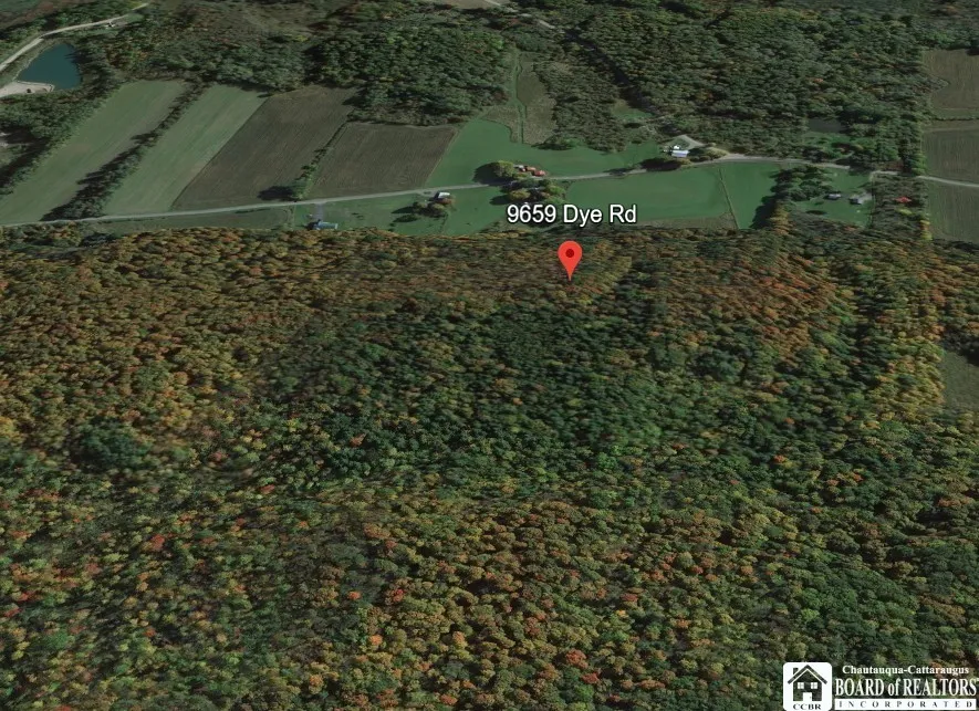 9659 Dye Road, Villenova, New York 14062, Villenova, New York 14062, ,Land,Closed,9659 Dye Road, Villenova, New York 14062,0,R1606587