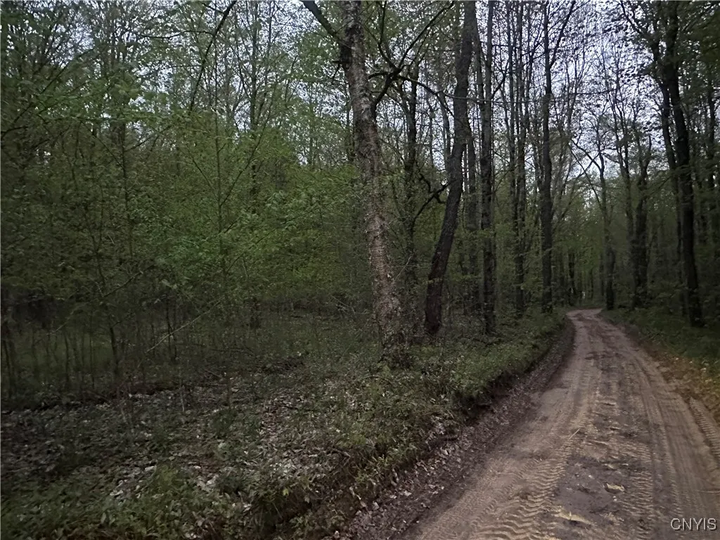 Otter Creek Trail, Greig, New York 13345, Greig, New York 13345, ,Land,Closed,Otter Creek Trail, Greig, New York 13345,0,S1606057