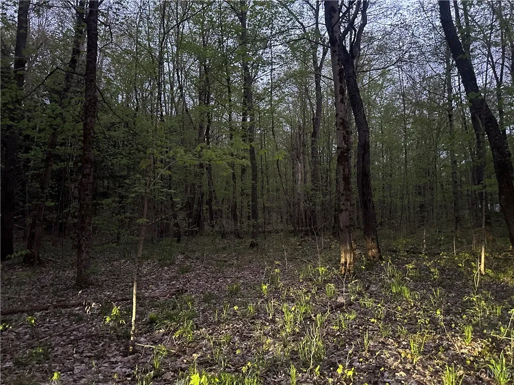 Otter Creek Trail, Greig, New York 13345, Greig, New York 13345, ,Land,Closed,Otter Creek Trail, Greig, New York 13345,0,S1606057