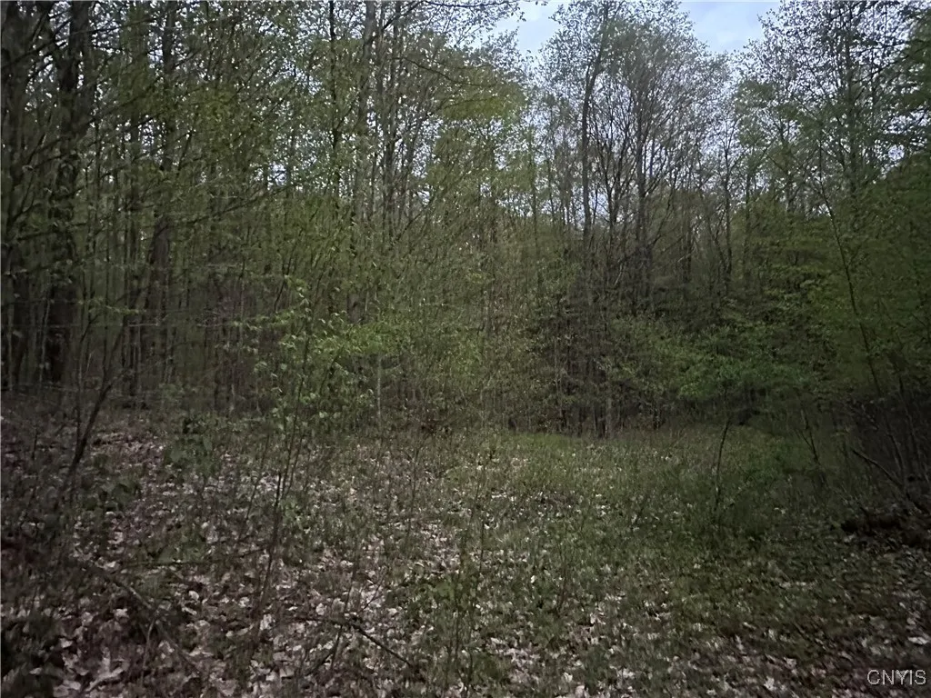 Otter Creek Trail, Greig, New York 13345, Greig, New York 13345, ,Land,Closed,Otter Creek Trail, Greig, New York 13345,0,S1606057