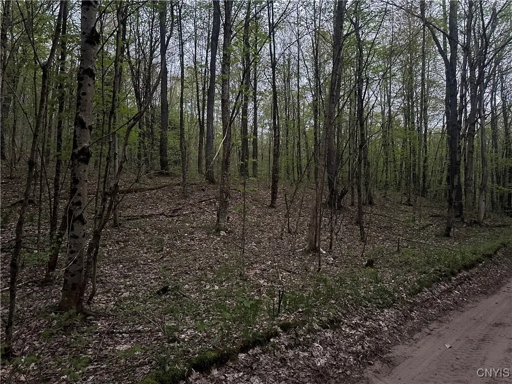 Otter Creek Trail, Greig, New York 13345, Greig, New York 13345, ,Land,Closed,Otter Creek Trail, Greig, New York 13345,0,S1606057