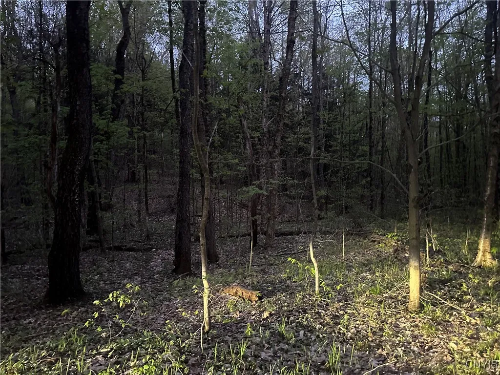 Otter Creek Trail, Greig, New York 13345, Greig, New York 13345, ,Land,Closed,Otter Creek Trail, Greig, New York 13345,0,S1606057