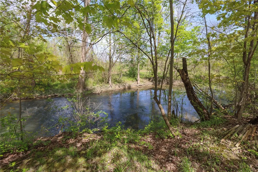 Mud Creek borders the property on north