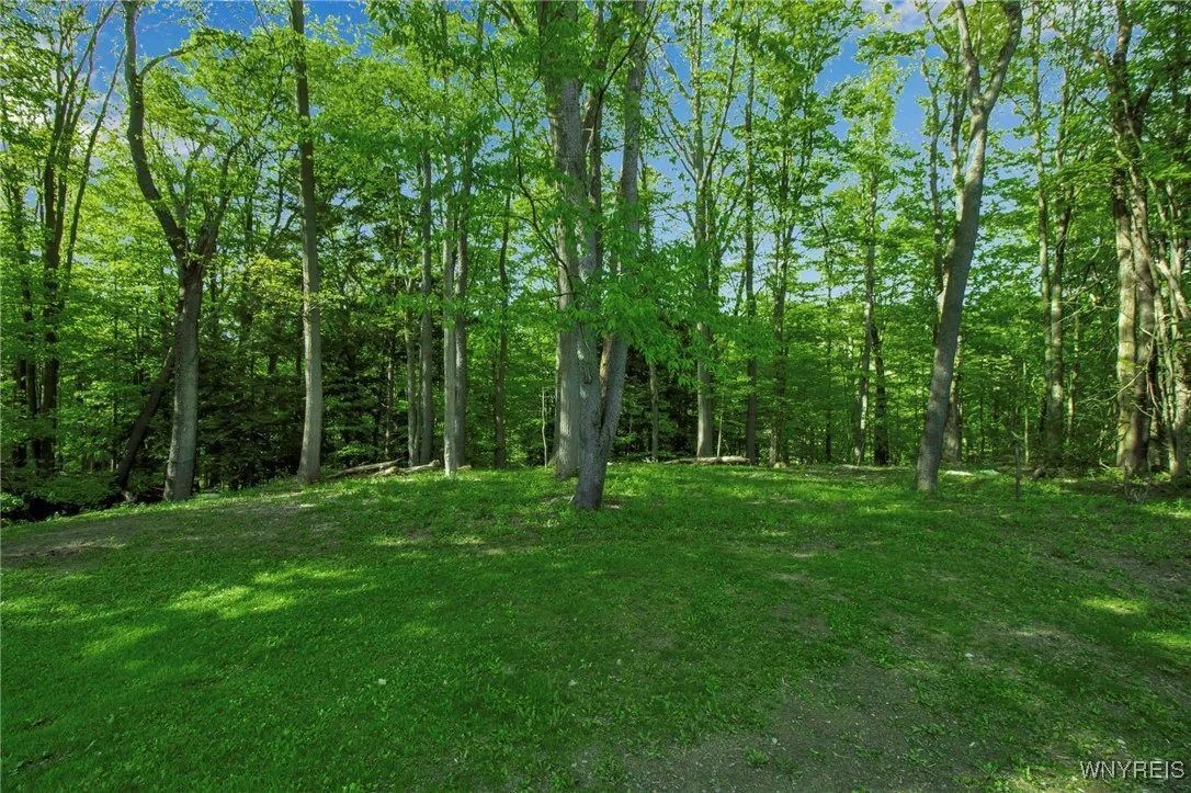 978 Quaker Road, Aurora, New York 14052, Aurora, New York 14052, 2 Bedrooms Bedrooms, 8 Rooms Rooms,1 BathroomBathrooms,Residential,Closed,978 Quaker Road, Aurora, New York 14052,0,B1606532