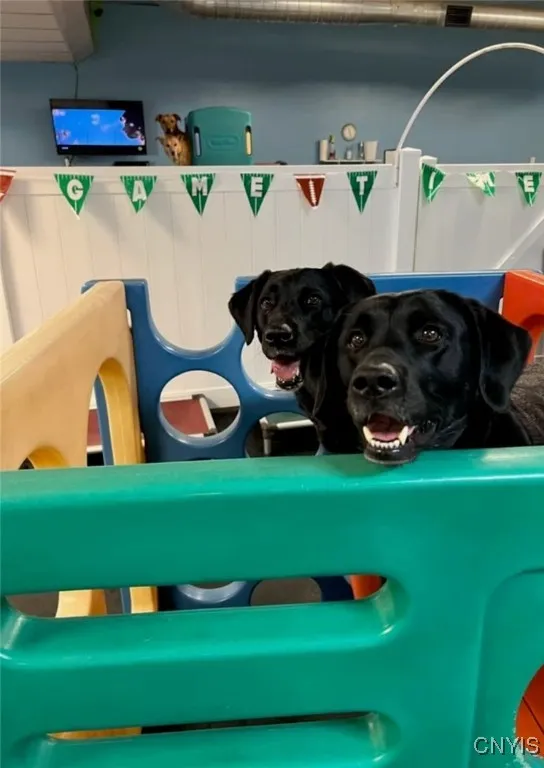 239 Oriskany Boulevard, Whitestown, New York 13492, Whitestown, New York 13492, ,Commercial Lease,Closed,239 Oriskany Boulevard, Whitestown, New York 13492,0,S1606758