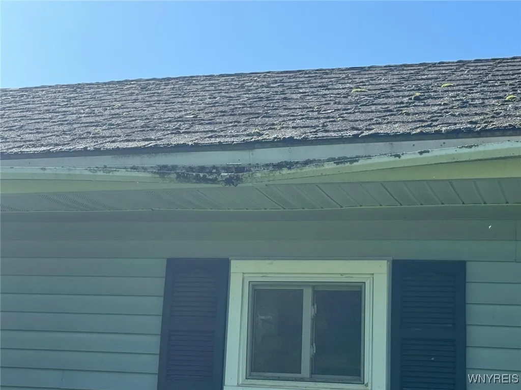 21702 County Route 16, Pamelia, New York 13601, Pamelia, New York 13601, 3 Bedrooms Bedrooms, 6 Rooms Rooms,1 BathroomBathrooms,Residential,Closed,21702 County Route 16, Pamelia, New York 13601,0,B1606984