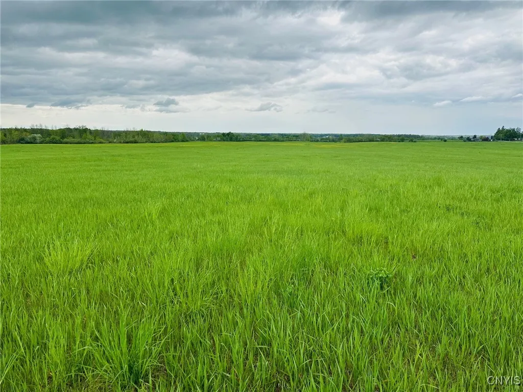 40021 Cox Road, Alexandria, New York 13656, Alexandria, New York 13656, 3 Bedrooms Bedrooms, 8 Rooms Rooms,1 BathroomBathrooms,Residential,Closed,40021 Cox Road, Alexandria, New York 13656,0,S1607093