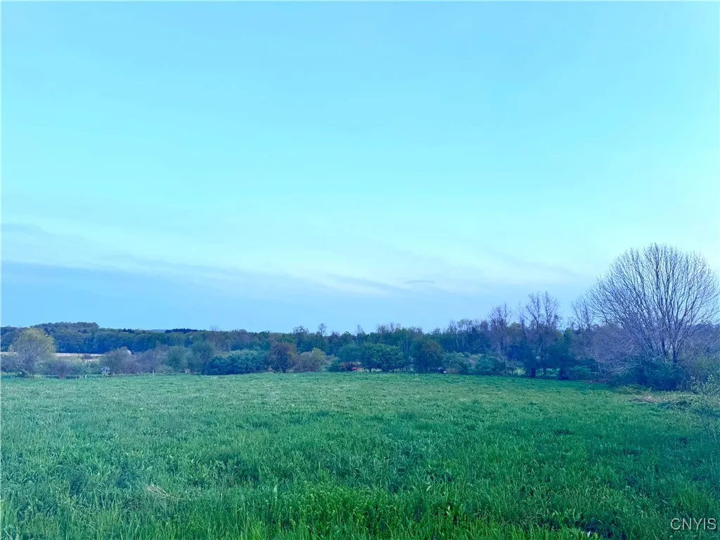 Mallory Road, New Hartford, New York 13456, New Hartford, New York 13456, ,Land,Closed,Mallory Road, New Hartford, New York 13456,0,S1605329