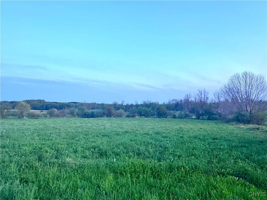 Mallory Road, New Hartford, New York 13456, New Hartford, New York 13456, ,Land,Closed,Mallory Road, New Hartford, New York 13456,0,S1605329