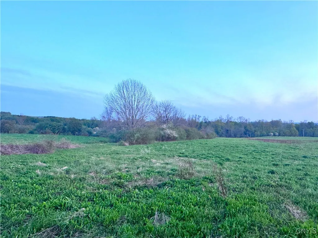 Mallory Road, New Hartford, New York 13456, New Hartford, New York 13456, ,Land,Closed,Mallory Road, New Hartford, New York 13456,0,S1605329