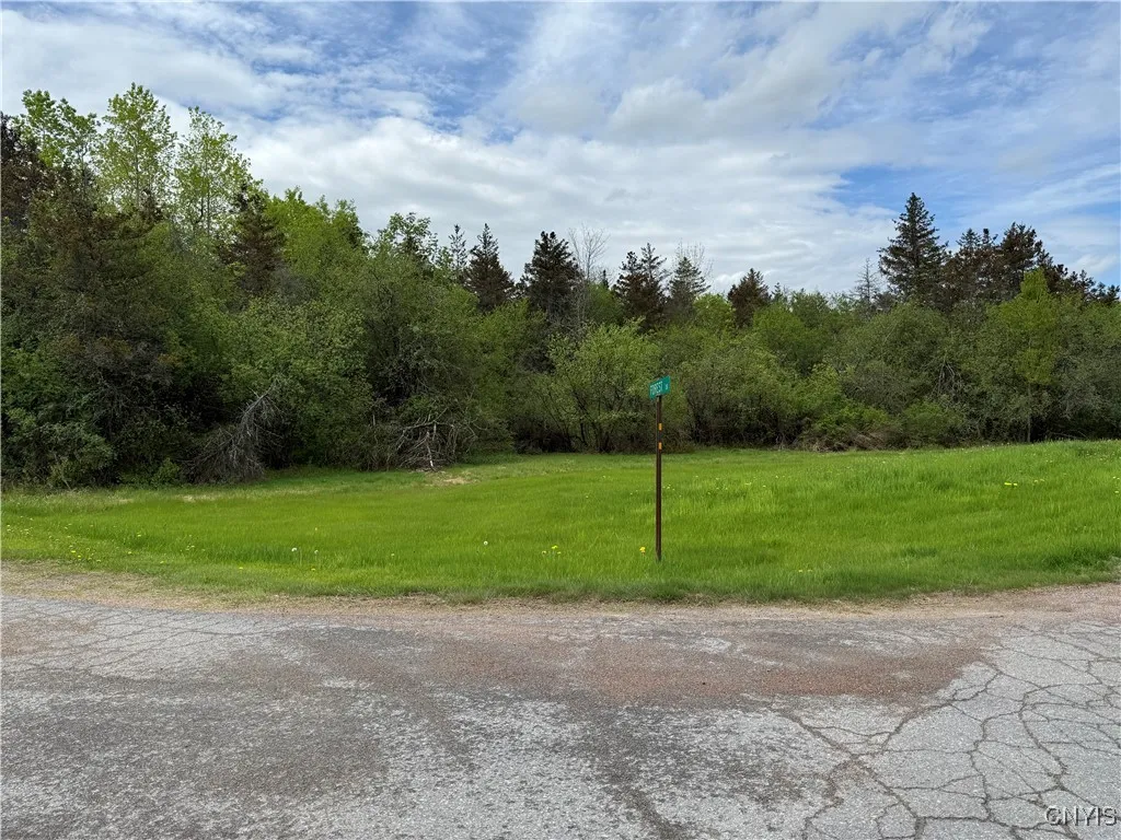 21766 Spruce Crescent, Pamelia, New York 13601, Pamelia, New York 13601, ,Land,For Sale,21766 Spruce Crescent, Pamelia, New York 13601,0,S1607169