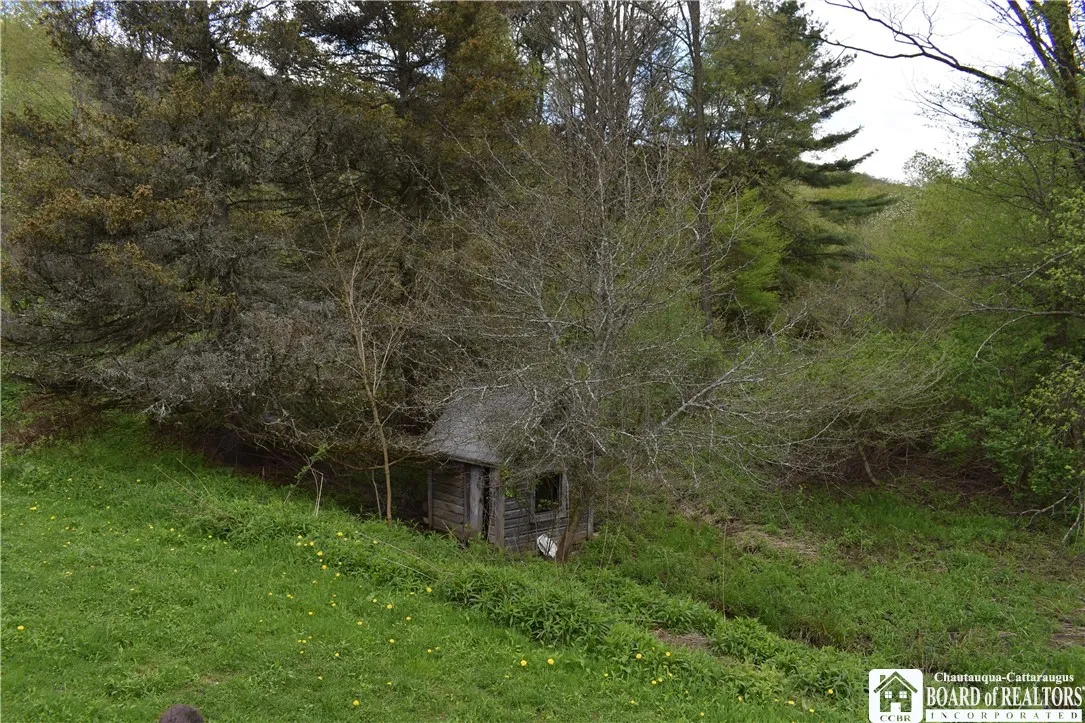 8900 Baase Road, Mansfield, New York 14755, Mansfield, New York 14755, ,Land,Closed,8900 Baase Road, Mansfield, New York 14755,0,R1606949