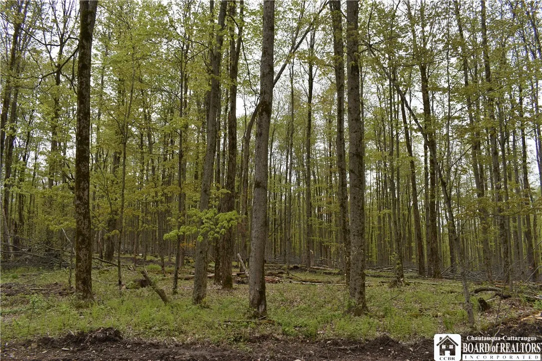 8900 Baase Road, Mansfield, New York 14755, Mansfield, New York 14755, ,Land,Closed,8900 Baase Road, Mansfield, New York 14755,0,R1606949