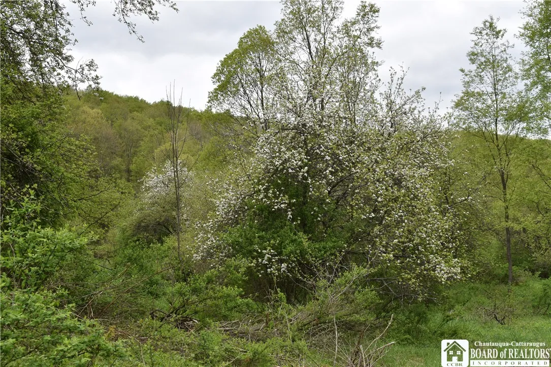 8900 Baase Road, Mansfield, New York 14755, Mansfield, New York 14755, ,Land,Closed,8900 Baase Road, Mansfield, New York 14755,0,R1606949
