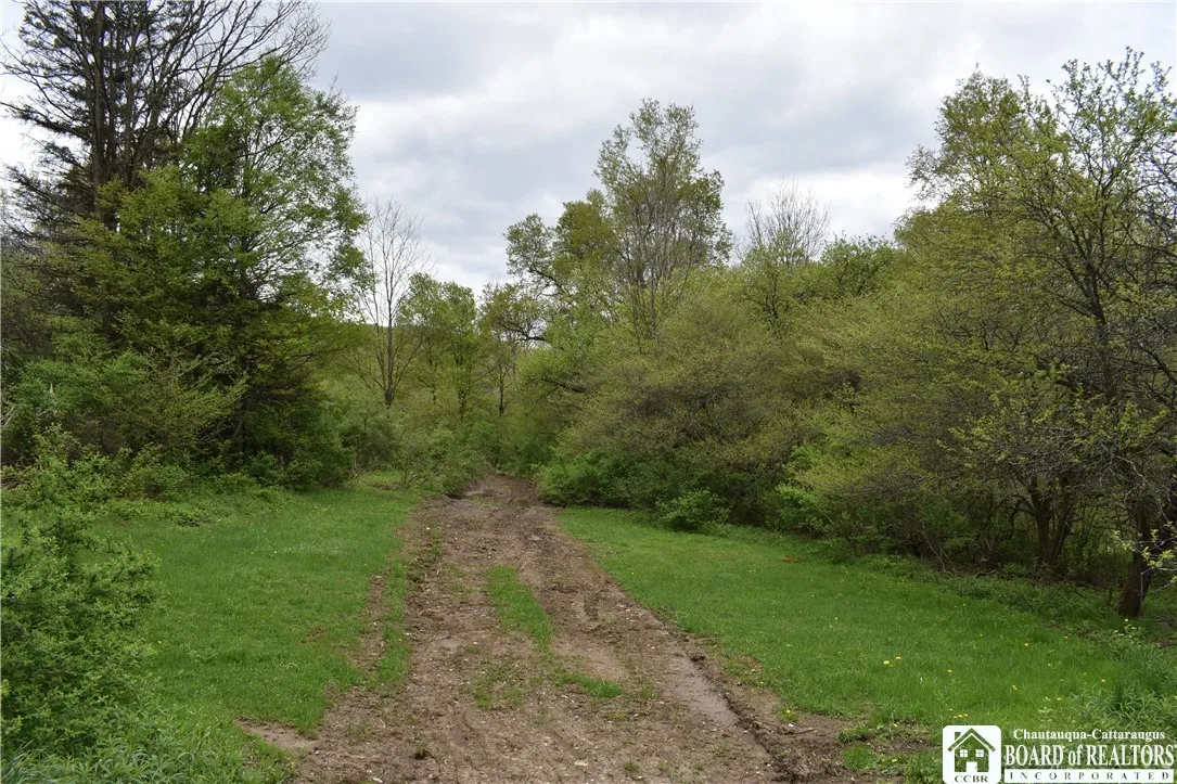8900 Baase Road, Mansfield, New York 14755, Mansfield, New York 14755, ,Land,Closed,8900 Baase Road, Mansfield, New York 14755,0,R1606949