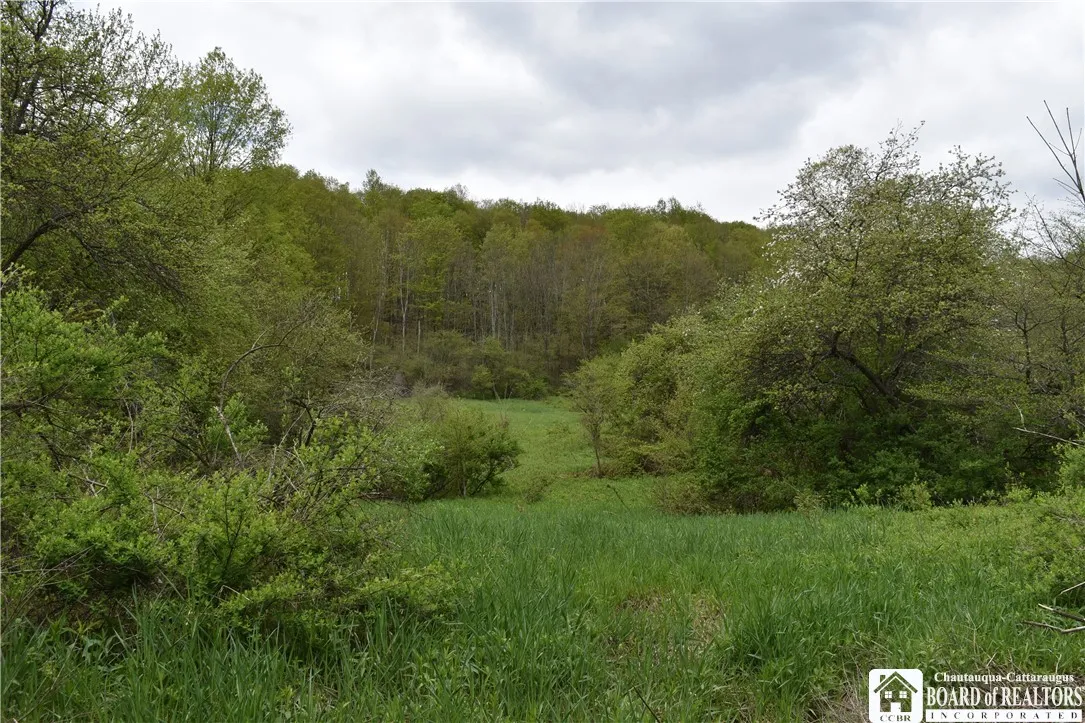 8900 Baase Road, Mansfield, New York 14755, Mansfield, New York 14755, ,Land,Closed,8900 Baase Road, Mansfield, New York 14755,0,R1606949