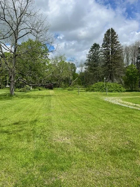 large backyard