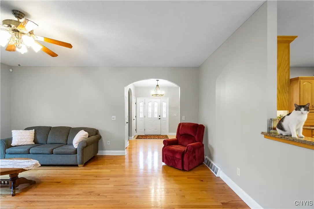 The cat is not included