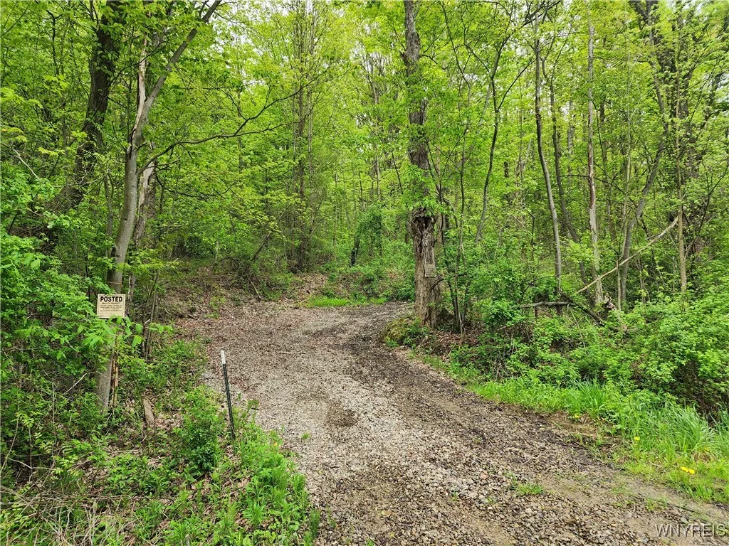 Utley Road, East Otto, New York 14729, East Otto, New York 14729, ,Land,Closed,Utley Road, East Otto, New York 14729,0,B1607267