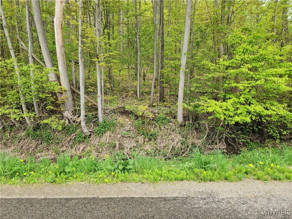 Utley Road, East Otto, New York 14729, East Otto, New York 14729, ,Land,Closed,Utley Road, East Otto, New York 14729,0,B1607267