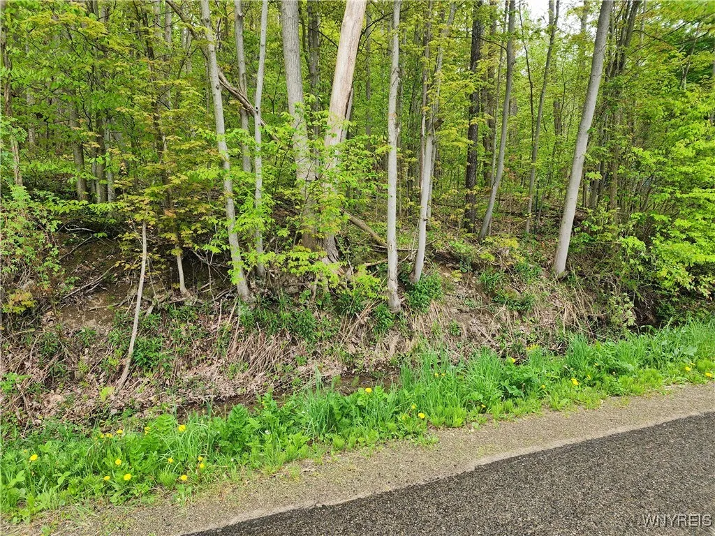 Utley Road, East Otto, New York 14729, East Otto, New York 14729, ,Land,Closed,Utley Road, East Otto, New York 14729,0,B1607267