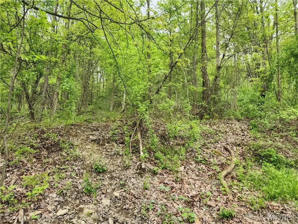 Utley Road, East Otto, New York 14729, East Otto, New York 14729, ,Land,Closed,Utley Road, East Otto, New York 14729,0,B1607267