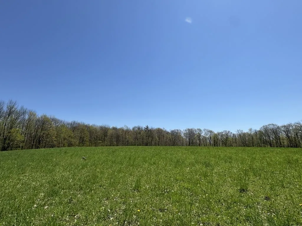 320 Barnum Road, Middlefield, New York 13320, Middlefield, New York 13320, 3 Bedrooms Bedrooms, ,2 BathroomsBathrooms,Land,For Sale,320 Barnum Road, Middlefield, New York 13320,0,R1607462