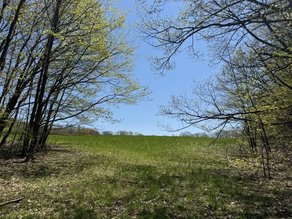 320 Barnum Road, Middlefield, New York 13320, Middlefield, New York 13320, 3 Bedrooms Bedrooms, ,2 BathroomsBathrooms,Land,For Sale,320 Barnum Road, Middlefield, New York 13320,0,R1607462