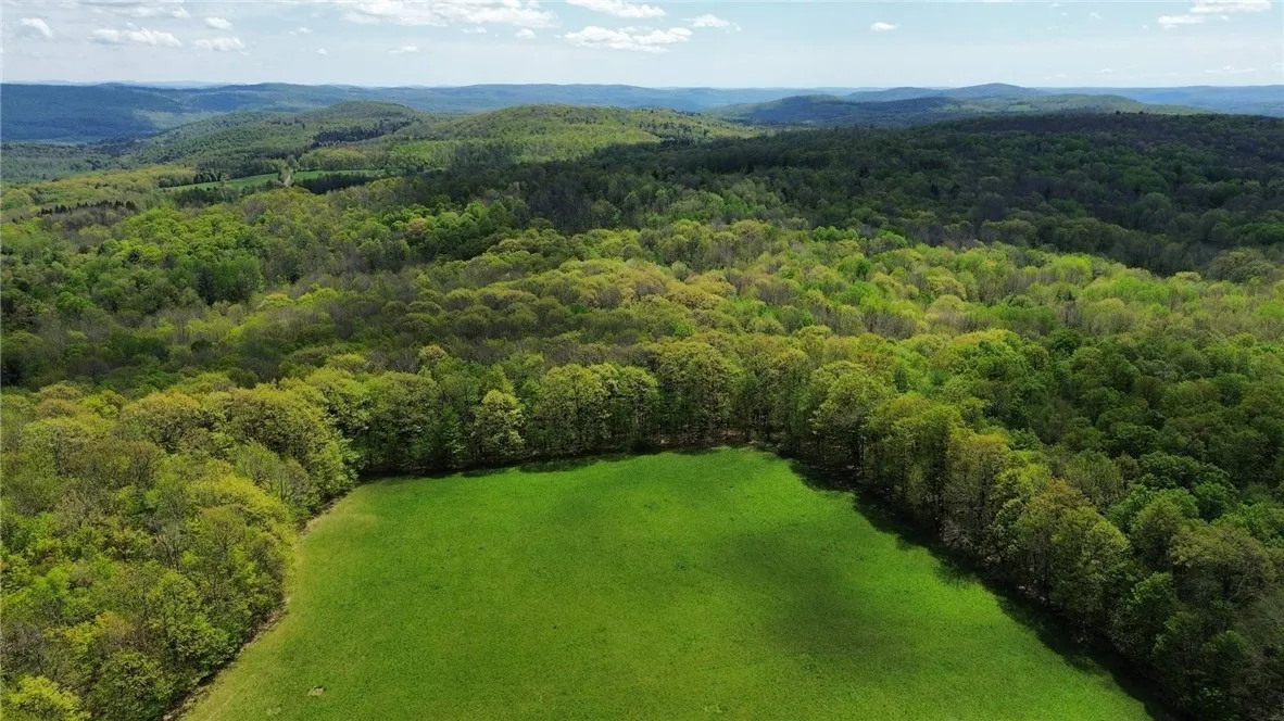 320 Barnum Road, Middlefield, New York 13320, Middlefield, New York 13320, 3 Bedrooms Bedrooms, ,2 BathroomsBathrooms,Land,For Sale,320 Barnum Road, Middlefield, New York 13320,0,R1607462