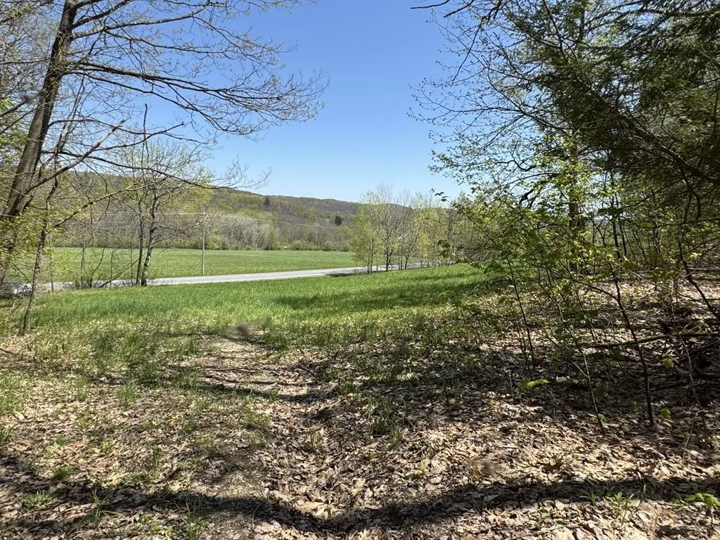 320 Barnum Road, Middlefield, New York 13320, Middlefield, New York 13320, 3 Bedrooms Bedrooms, ,2 BathroomsBathrooms,Land,For Sale,320 Barnum Road, Middlefield, New York 13320,0,R1607462