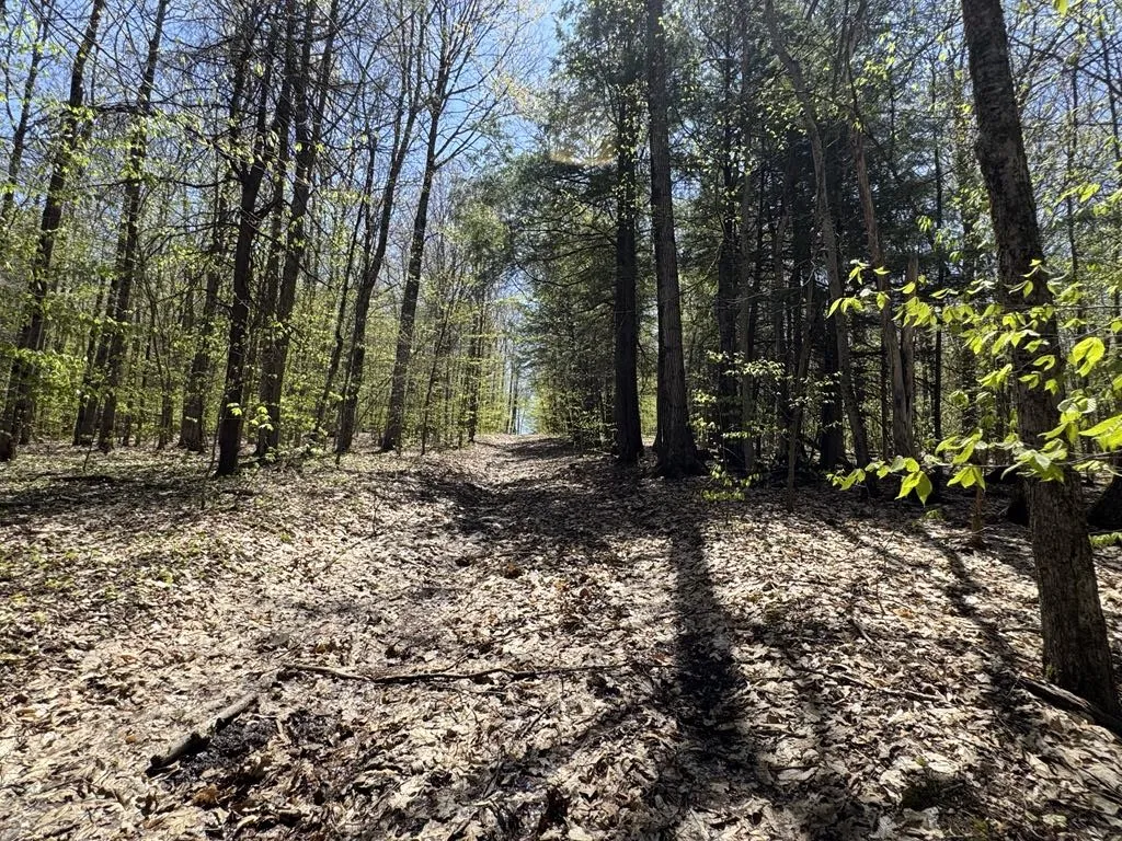 320 Barnum Road, Middlefield, New York 13320, Middlefield, New York 13320, 3 Bedrooms Bedrooms, ,2 BathroomsBathrooms,Land,For Sale,320 Barnum Road, Middlefield, New York 13320,0,R1607462