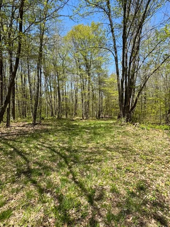 320 Barnum Road, Middlefield, New York 13320, Middlefield, New York 13320, 3 Bedrooms Bedrooms, ,2 BathroomsBathrooms,Land,For Sale,320 Barnum Road, Middlefield, New York 13320,0,R1607462