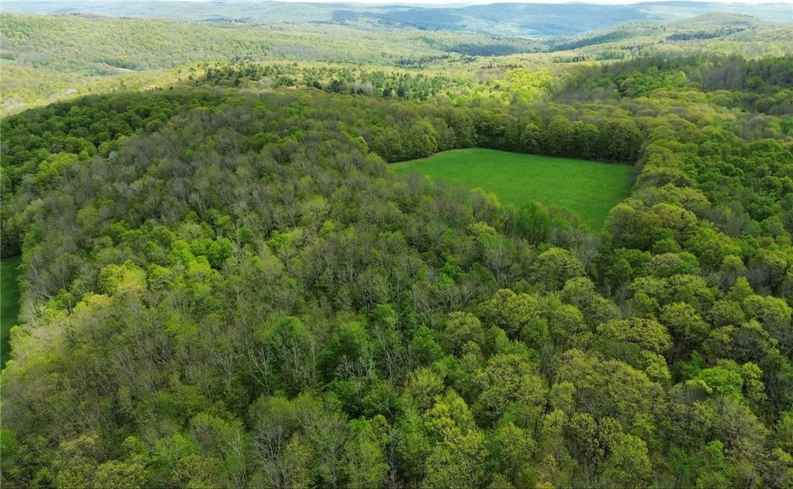 320 Barnum Road, Middlefield, New York 13320, Middlefield, New York 13320, 3 Bedrooms Bedrooms, ,2 BathroomsBathrooms,Land,For Sale,320 Barnum Road, Middlefield, New York 13320,0,R1607462