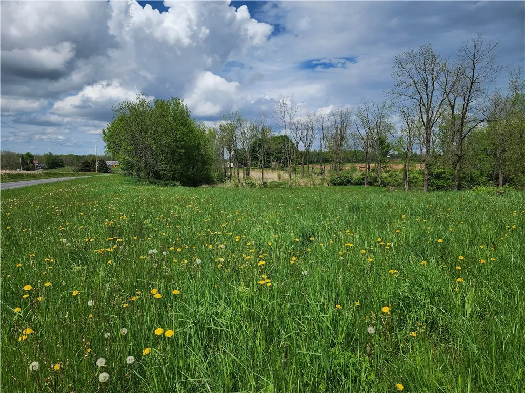 1580 Gray Road, Ledyard, New York 13160, Ledyard, New York 13160, ,Land,Closed,1580 Gray Road, Ledyard, New York 13160,0,R1607502