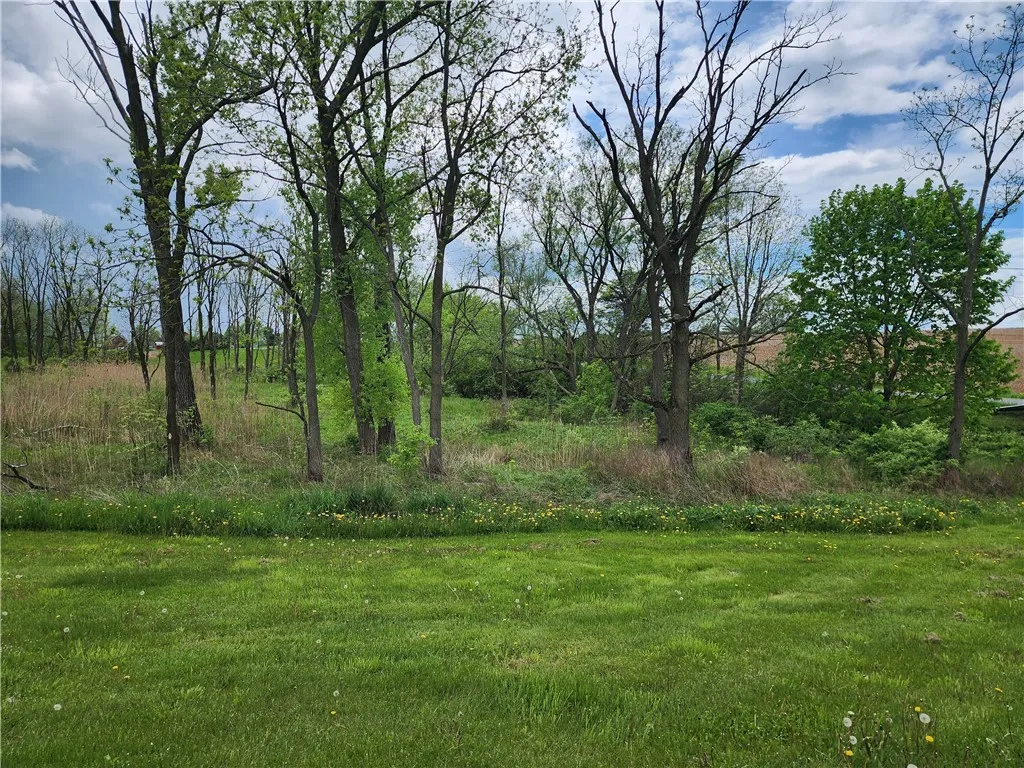 1580 Gray Road, Ledyard, New York 13160, Ledyard, New York 13160, ,Land,Closed,1580 Gray Road, Ledyard, New York 13160,0,R1607502