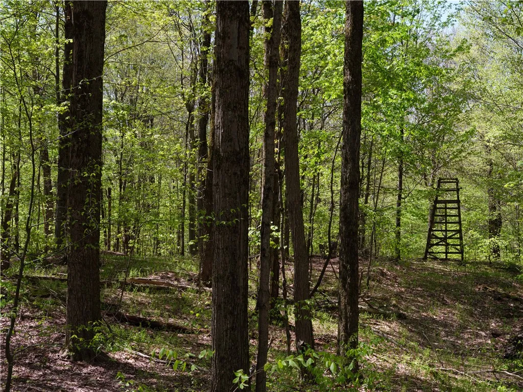 Sanly Road, Franklin, New York 13839, Franklin, New York 13839, ,Land,For Sale,Sanly Road, Franklin, New York 13839,R1607324