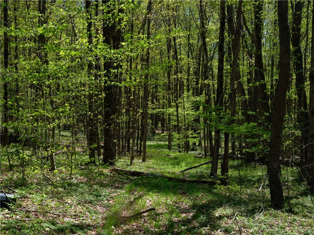Sanly Road, Franklin, New York 13839, Franklin, New York 13839, ,Land,For Sale,Sanly Road, Franklin, New York 13839,R1607324