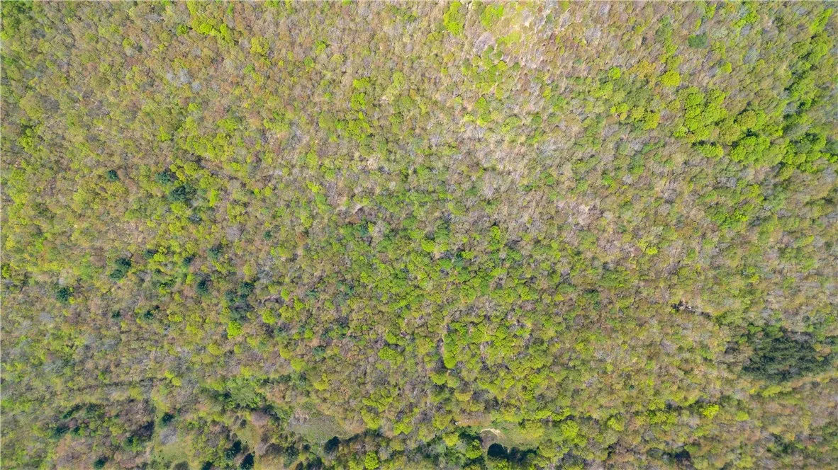 Sanly Road, Franklin, New York 13839, Franklin, New York 13839, ,Land,For Sale,Sanly Road, Franklin, New York 13839,R1607324