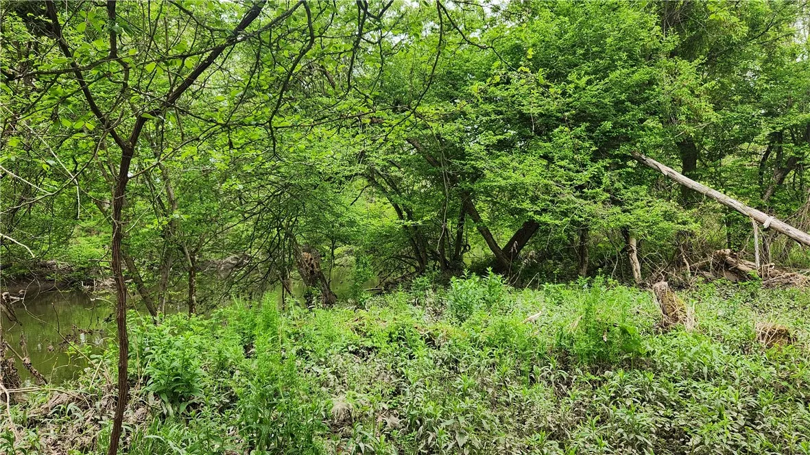 Oatka Creek Road, Wheatland, New York 14511, Wheatland, New York 14511, ,Land,For Sale,Oatka Creek Road, Wheatland, New York 14511,0,R1607347