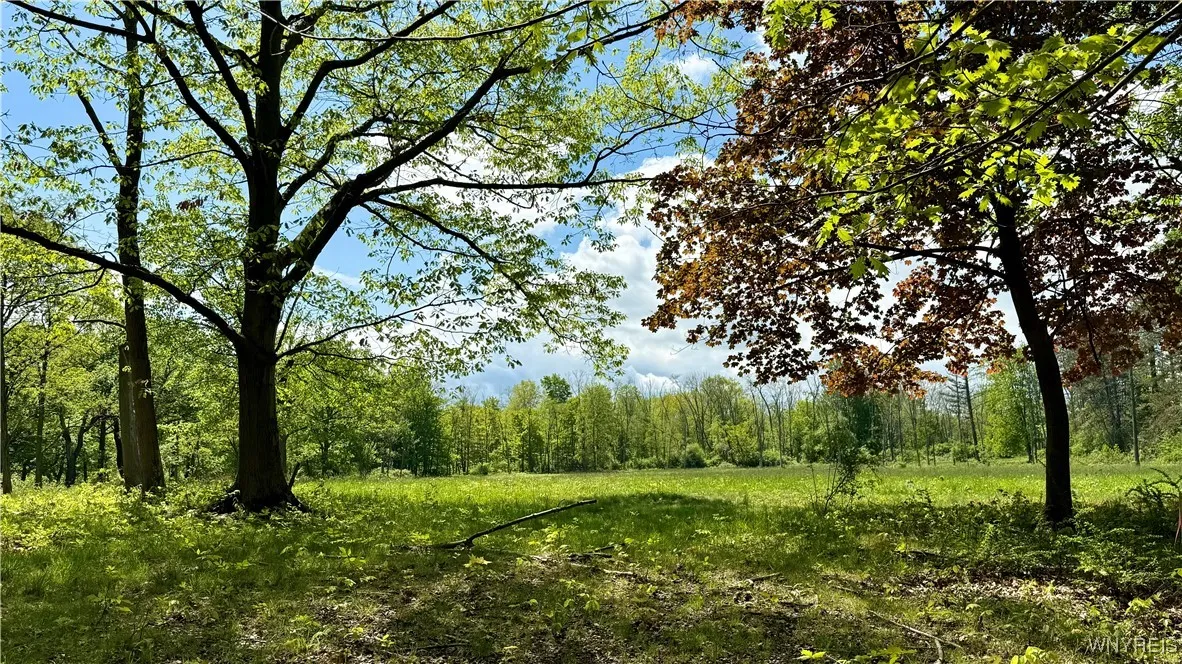 6975 Sweetland Road, Evans, New York 14047, Evans, New York 14047, 3 Bedrooms Bedrooms, 9 Rooms Rooms,3 BathroomsBathrooms,Residential,For Sale,6975 Sweetland Road, Evans, New York 14047,B1607625