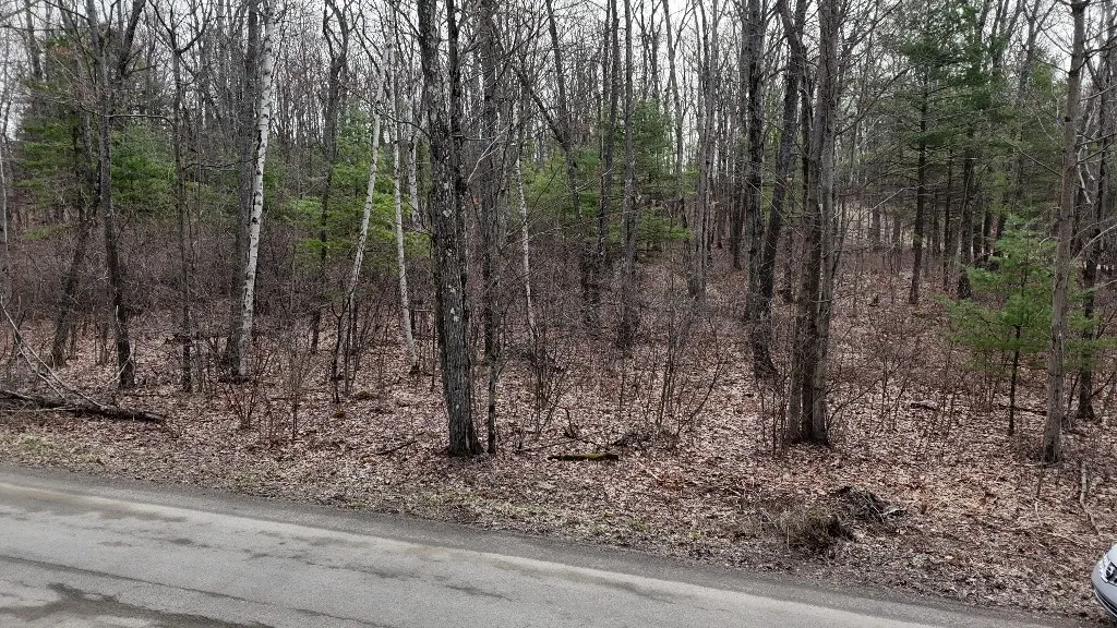 0 Welch Road, Erwin, New York 14830, Erwin, New York 14830, ,Land,For Sale,0 Welch Road, Erwin, New York 14830,R1607670
