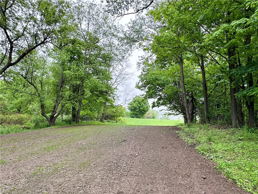 258 Mcmaster Street, Bath, New York 14810, Bath, New York 14810, 3 Bedrooms Bedrooms, 8 Rooms Rooms,2 BathroomsBathrooms,Residential,For Sale,258 Mcmaster Street, Bath, New York 14810,0,R1607673