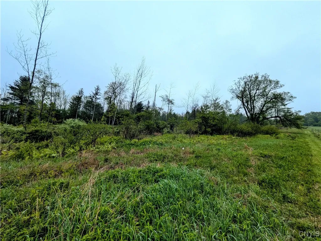 0 Maricle Rd. Road, Freetown, New York 13040, Freetown, New York 13040, ,Land,Closed,0 Maricle Rd. Road, Freetown, New York 13040,0,S1607729