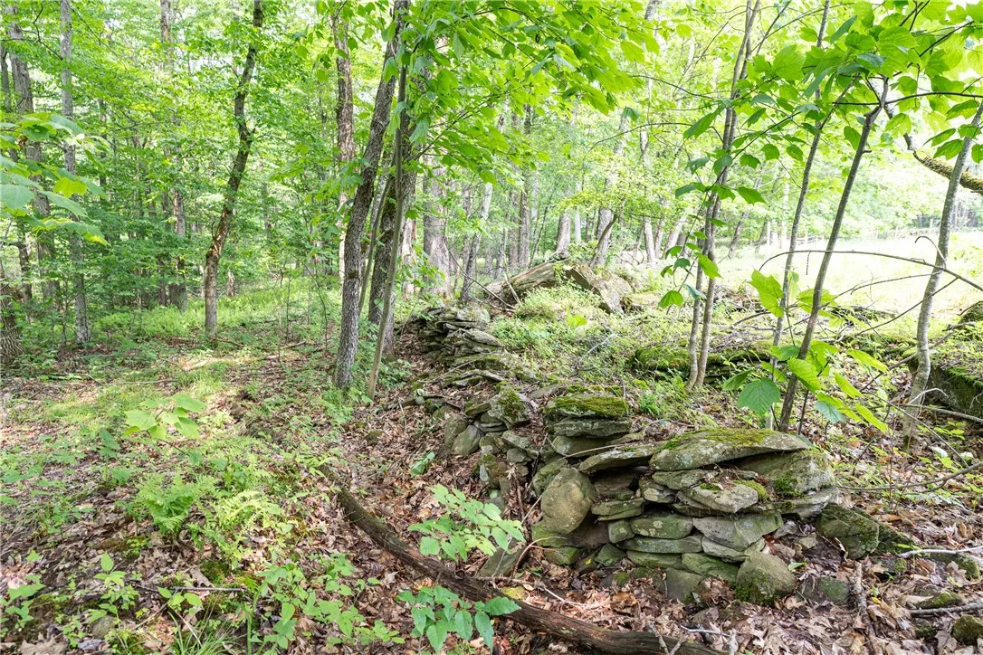 Stanley Campbell Road, Delhi, New York 13753, Delhi, New York 13753, ,Land,For Sale,Stanley Campbell Road, Delhi, New York 13753,R1607593