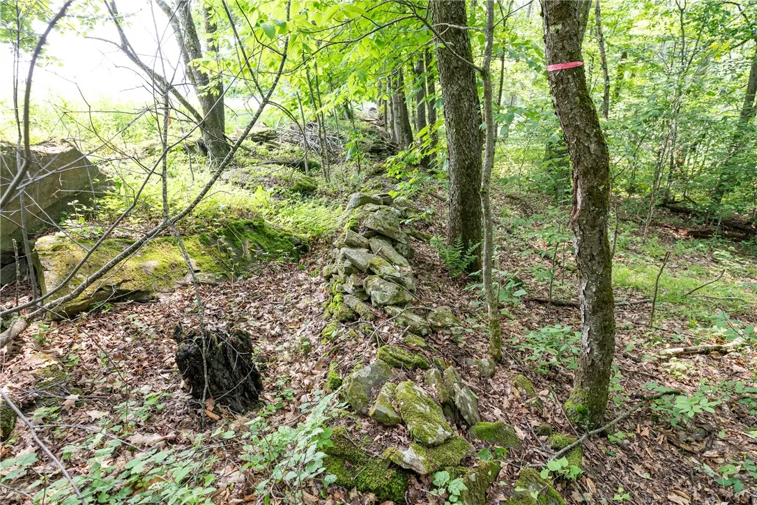 Stanley Campbell Road, Delhi, New York 13753, Delhi, New York 13753, ,Land,For Sale,Stanley Campbell Road, Delhi, New York 13753,R1607593