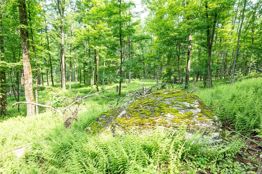 Stanley Campbell Road, Delhi, New York 13753, Delhi, New York 13753, ,Land,For Sale,Stanley Campbell Road, Delhi, New York 13753,R1607593